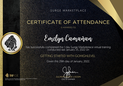 Surge Certificate