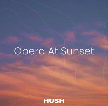 HUSH - SOCIAL ASSETS (2).png