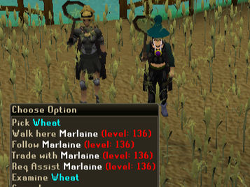 O Drop Mais Raro do RuneScape: A História Real de Marlaine e PrimeFalcon
