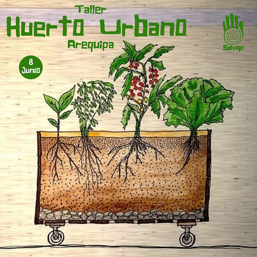 Taller de Huerto Urbano