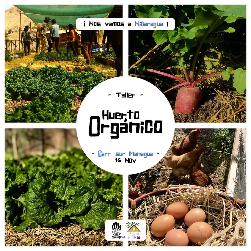 Nicaragua | Taller de Huerto Orgánico