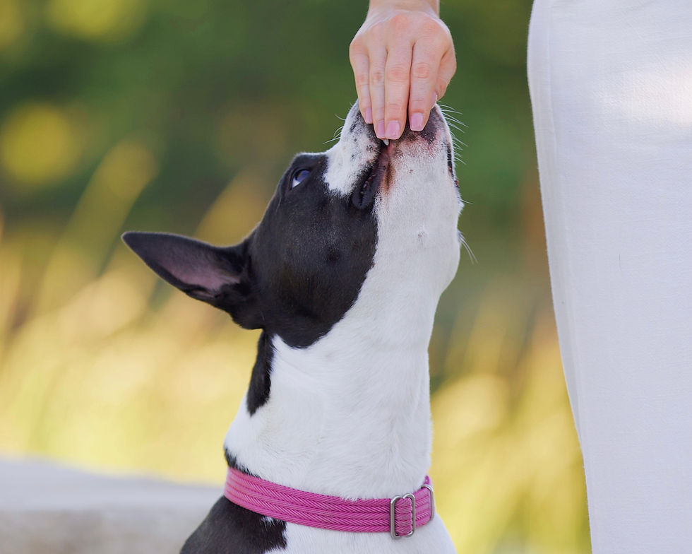 ADVANTAGEOUS VS HAZARDOUS FOODS