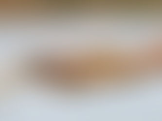 WHAT IS A BALANCED TRAINER, AND HOW ARE THEY DIFFERENT FROM OTHER TYPES OF TRAINERS?