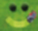 Lawn_mower_funny.width-800 (1).jpg