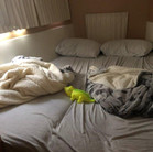 front cabin.jpg