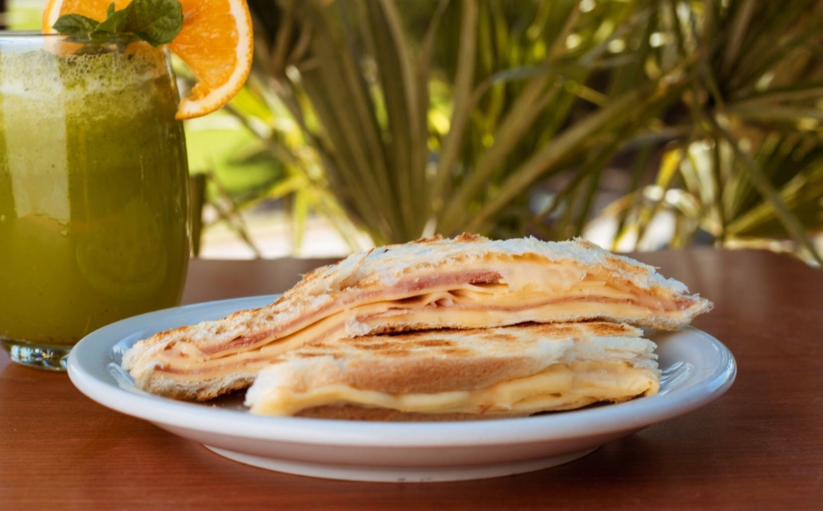 Tostado de Jamón y queso