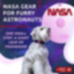 Miniatura: Nylon Dog Collar Adjustable for Small Medium Dogs 916 in Neck x 4/5 in NASA