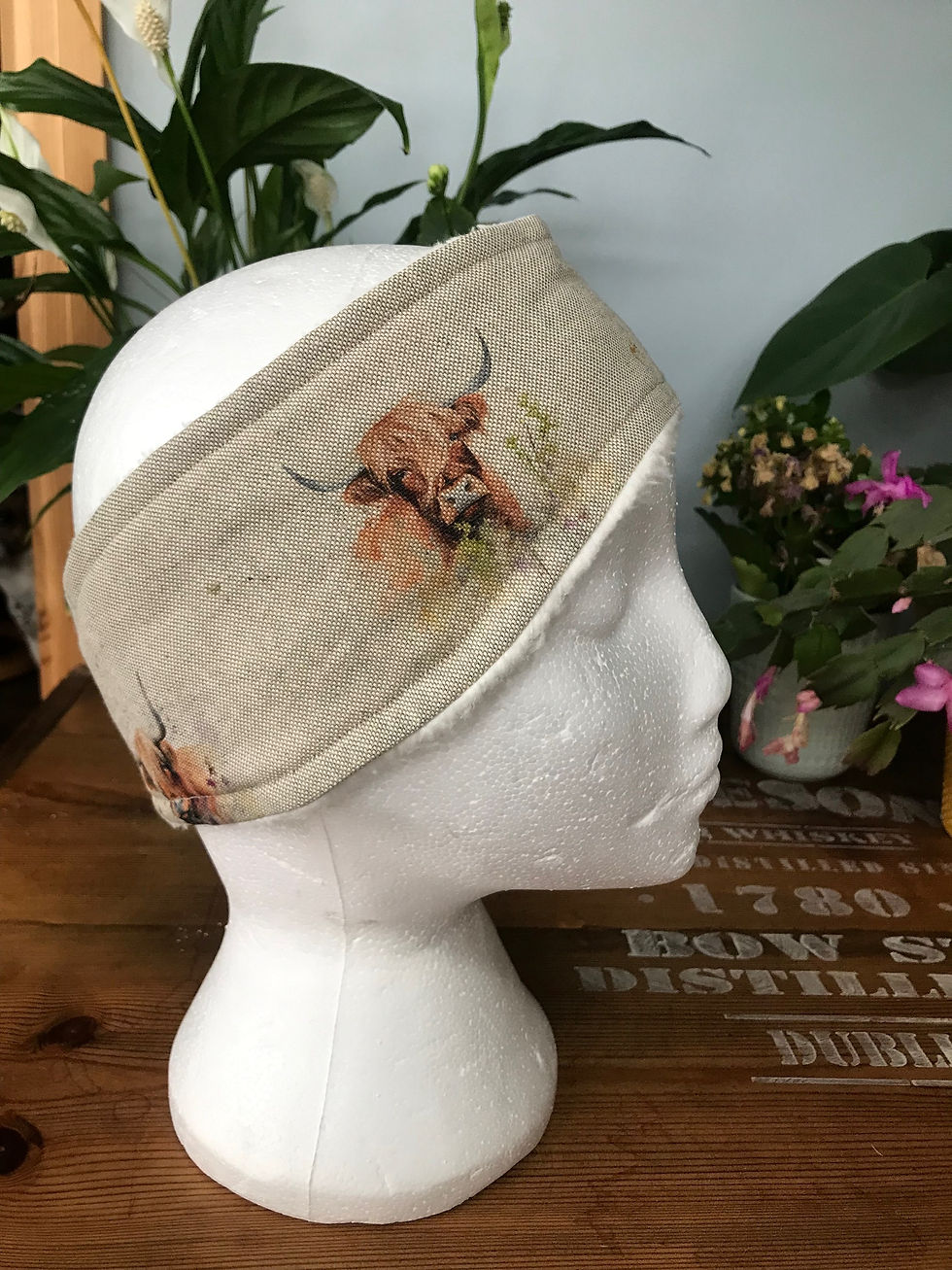 Thumbnail: Highland cow ear warmers