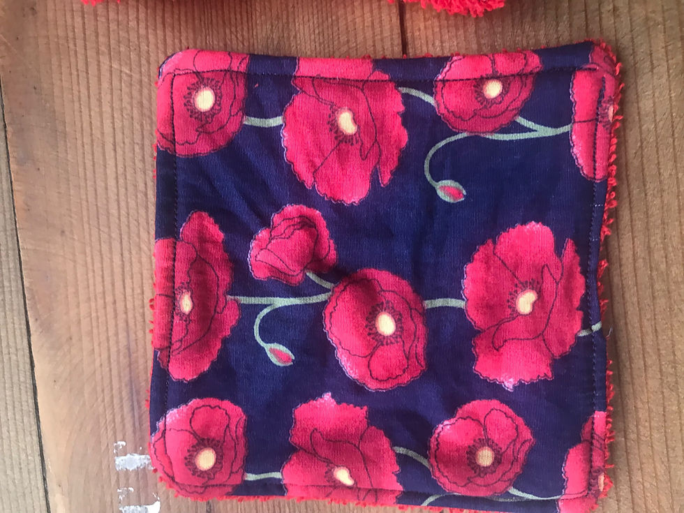 Reusable makeup remover / face wipes (pack of 5)