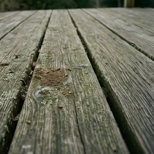 Deck and Patio Revitalization