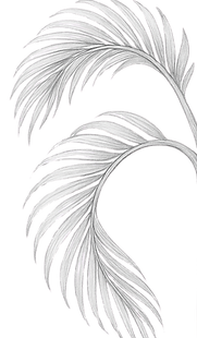 Black and white illustration of falling palm leaves—evokes quiet movement, tropical atmosphere, and reflective mood