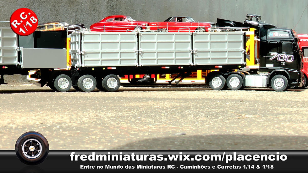 RODOTREM (6)