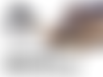 Wednesday's Wildlife: Beavers