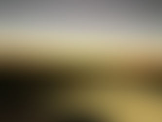 おはようございます☀