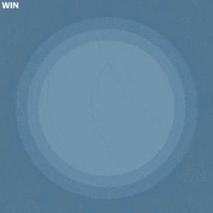 WIN_GIF_8.gif