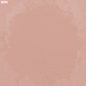 WIN_GIF_1.gif