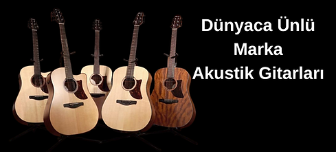 Elektro Gitarları (1).png