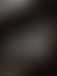 期間限定　チョコレートのタルト