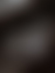 期間限定　チョコレートのタルト