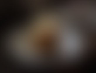 愛媛県産 清美オレンジのショートケーキ