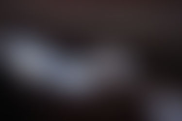 ブラジル セラード