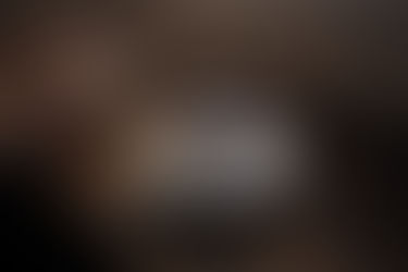 ブラジルセラード