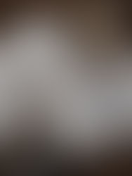 夜半の描くポストカード　春の新作のお知らせ