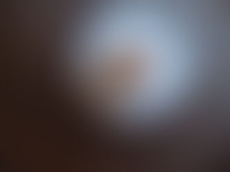 本日の営業について