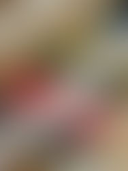 数量限定販売　エジプトコットンプレーンソックス