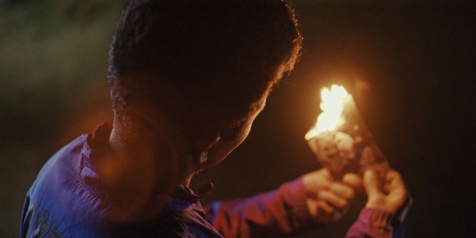 chiens mouillés - 17