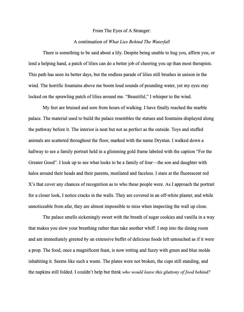 From The Eyes of A Stranger: A continuation of What Lies Behind The Waterfall- 2022, Short Story