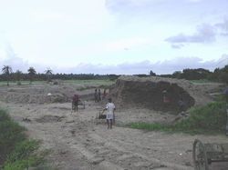 MAA MANOSHA ESTATE