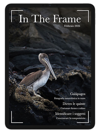 Mockup digitale della rivista In The Frame visualizzato su un iPad con una copertina di fotografia di paesaggio.