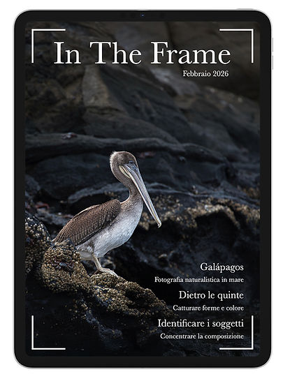 Mockup digitale della rivista In The Frame visualizzato su un iPad con una copertina di fotografia di paesaggio.
