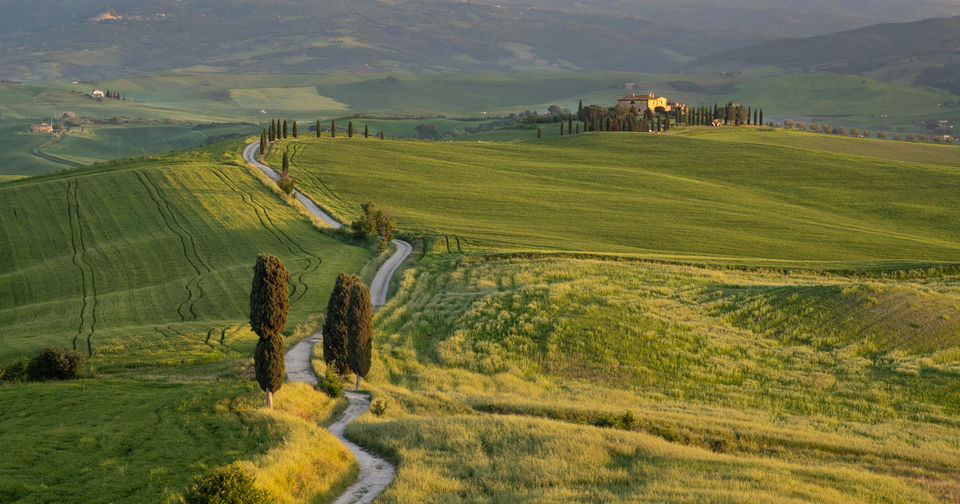 The famous path and cypress trees leading to a farmhouse in Val d'Orcia, Tuscany, featured in the movie Gladiator
