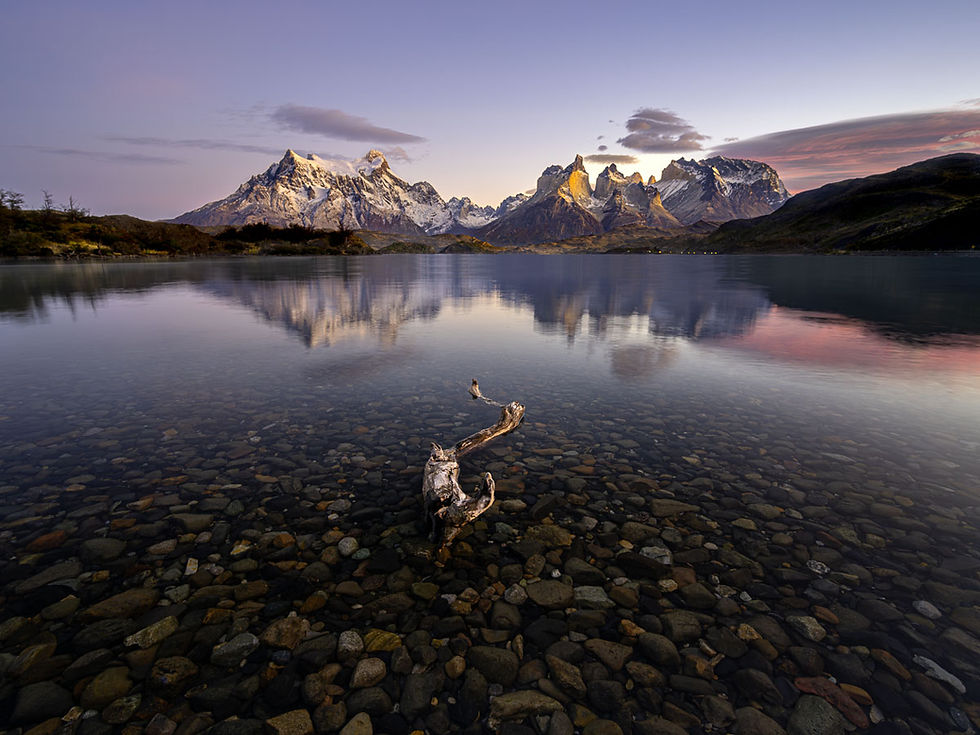A piece of driftwood in a reflective lake in front of the mountains in Torres del Paine, Patagonia