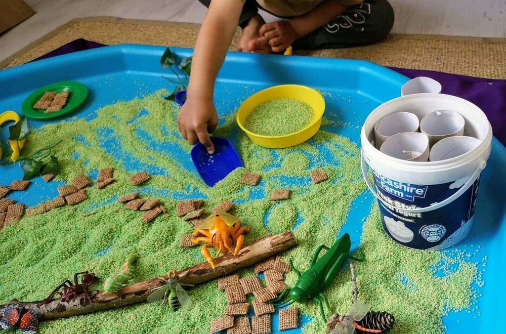 Insect tuff tray ideas National Insect Week