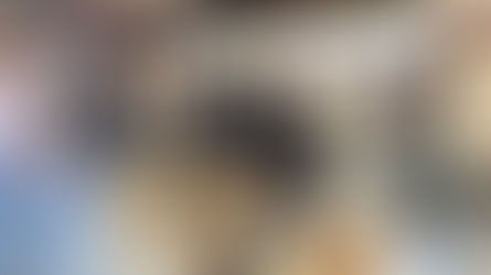 Thementag „Schindeln“ begeistert