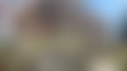 Haus in der Steigstraße 15: Barockes Gebäude wird zu neuem Leben erweckt