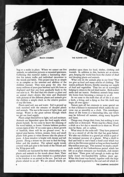 1944 January -08.jpg