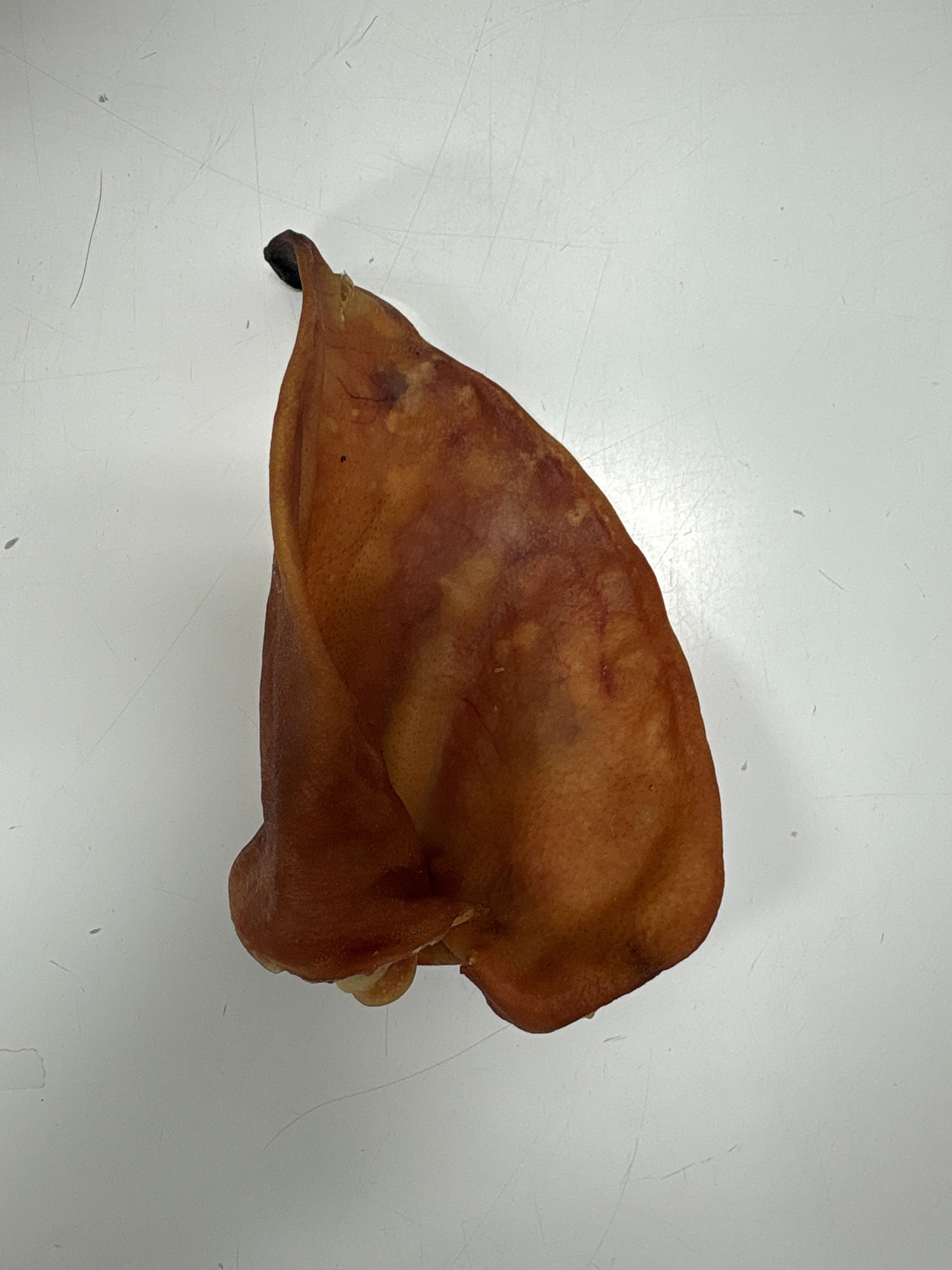 Dehydrated Pig Ears (Large - 5-6 inches)