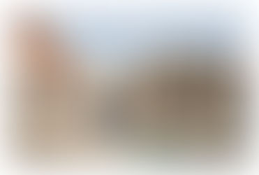 「栗の駅」住民説明会 ~官民共創で取組む 持続可能な豊かな村を目指して~