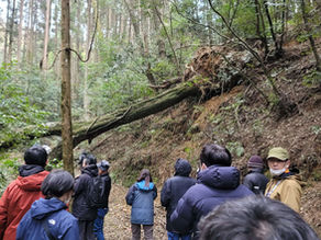 緑の流域治水~森林と渓流の再生を目指して~