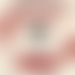 Nova data para o lançamento do livro A Rosa Cinzenta