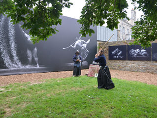FESTIVAL PHOTO LA GACILLY