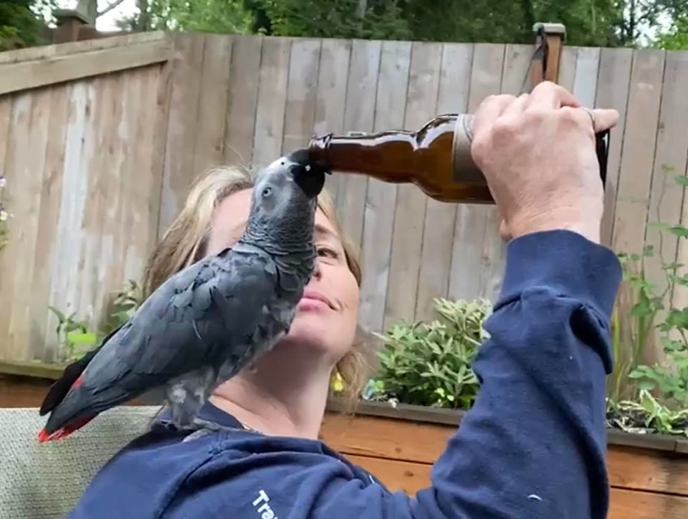 Abby was always along for the ride and wanted to be part of every experience.