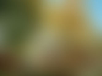 Anderson Ranch Art Center - Residency Program, Snowmass Colorado.