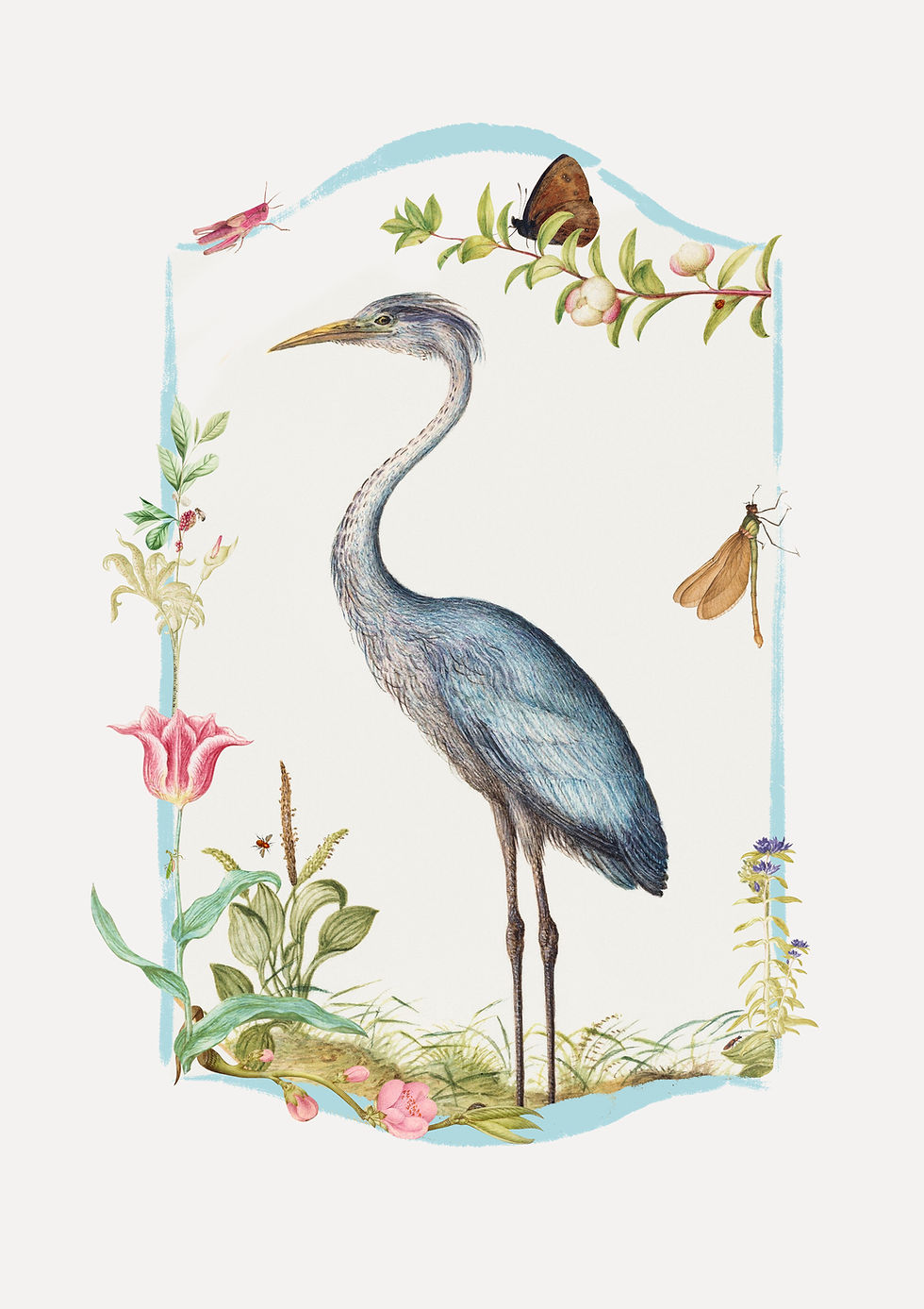 Miniatura: Lambe lambe avulso Fauno
