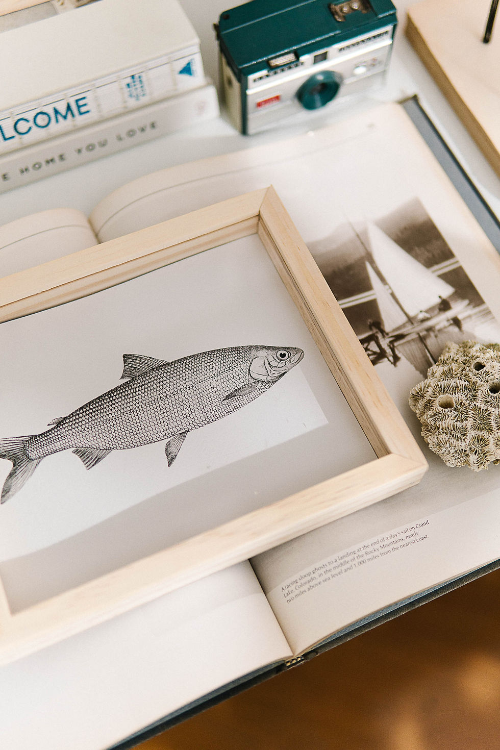 Miniatura: Quadro Peixe