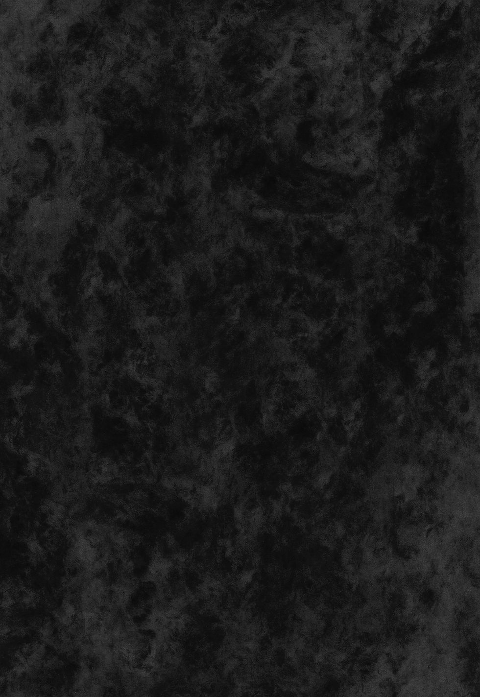 p0520_l.jpg